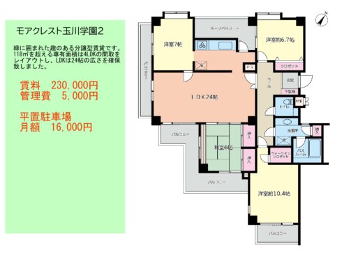118㎡を超える大型間取(間取)
