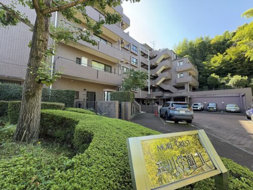 ステイタス感じる外観(外観)