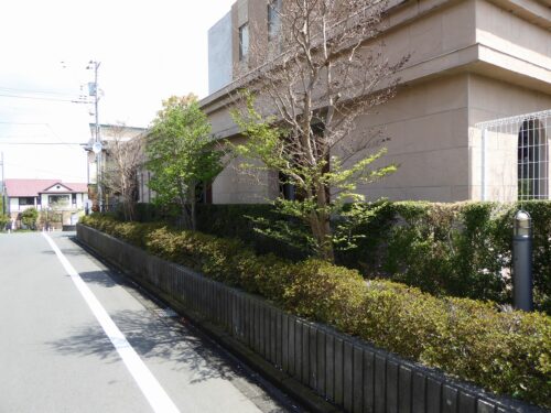 緑の植込みがステイタスを上げます。